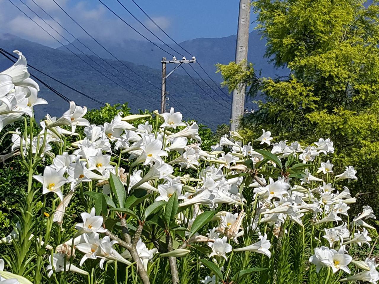 Fenglin Yi Tian Homestay المظهر الخارجي الصورة